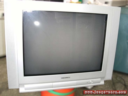 삼성 TV